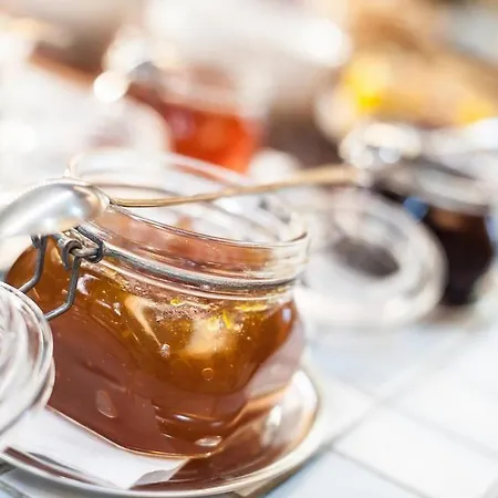 Stargaze מלון חאן